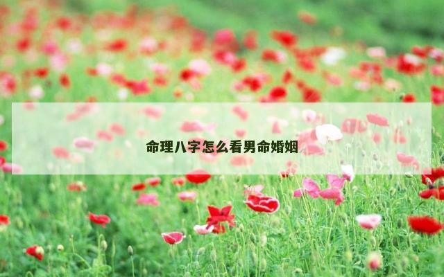 命理八字怎么看男命婚姻