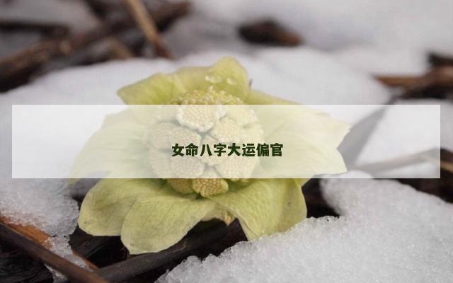 女命八字大运偏官