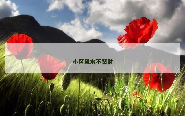 小区风水不聚财