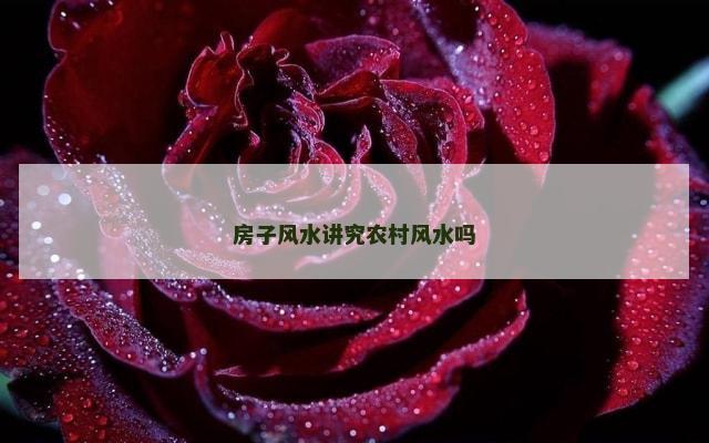 房子风水讲究农村风水吗