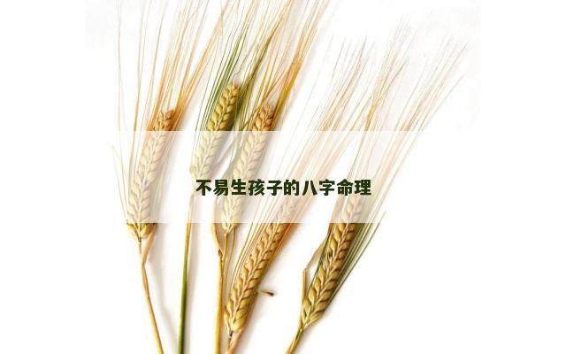 不易生孩子的八字命理