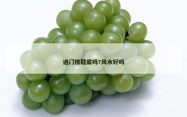 进门擦鞋底吗?风水好吗