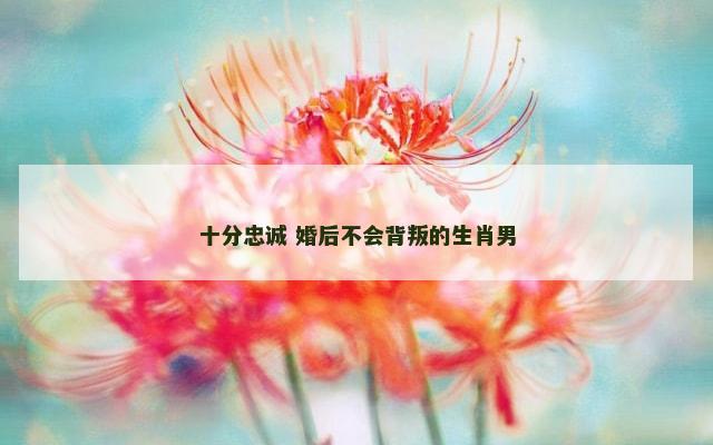 十分忠诚 婚后不会背叛的生肖男