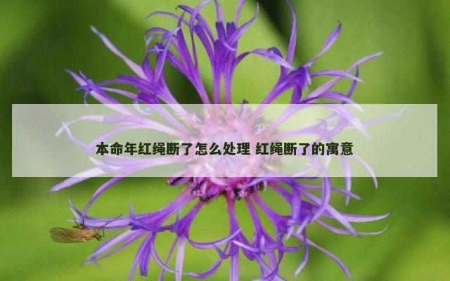 本命年红绳断了怎么处理 红绳断了的寓意