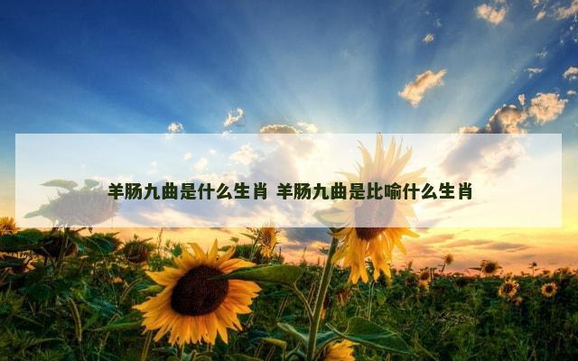 羊肠九曲是什么生肖 羊肠九曲是比喻什么生肖