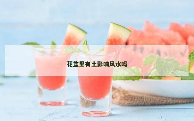 花盆里有土影响风水吗