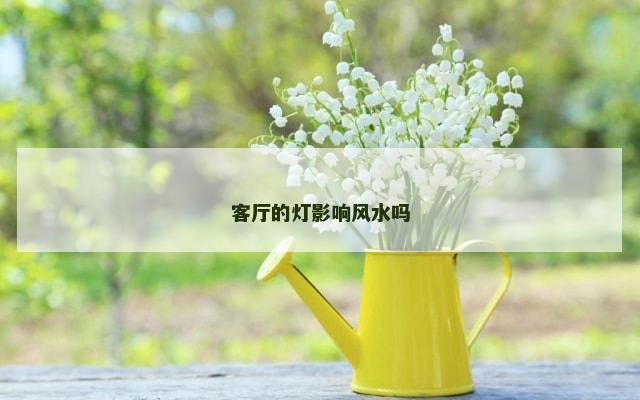 客厅的灯影响风水吗