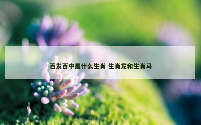 百发百中是什么生肖 生肖龙和生肖马