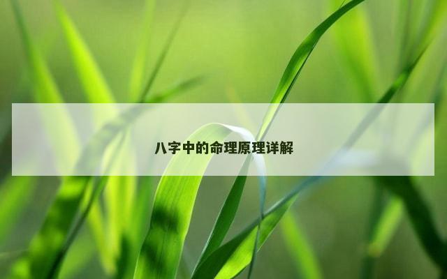 八字中的命理原理详解