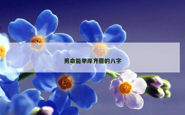 男命能举岸齐眉的八字