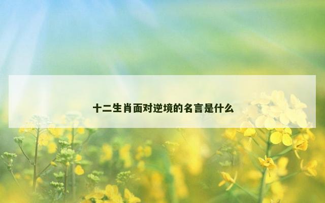 十二生肖面对逆境的名言是什么