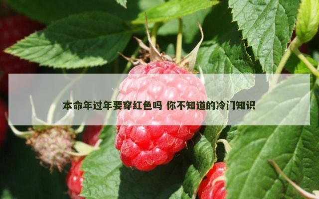 本命年过年要穿红色吗 你不知道的冷门知识