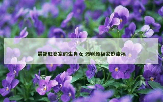 最能旺婆家的生肖女 添财添福家庭幸福