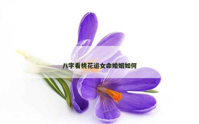 八字看桃花运女命婚姻如何