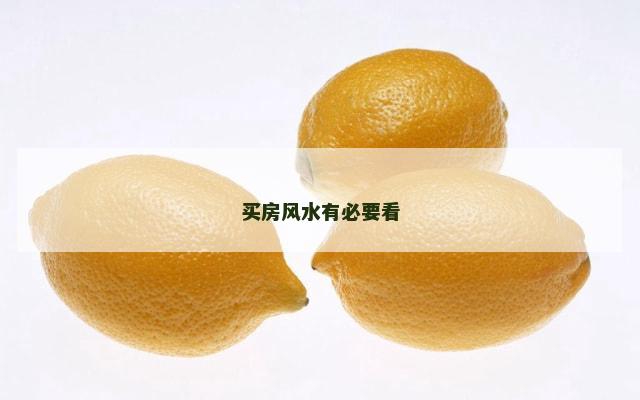 买房风水有必要看