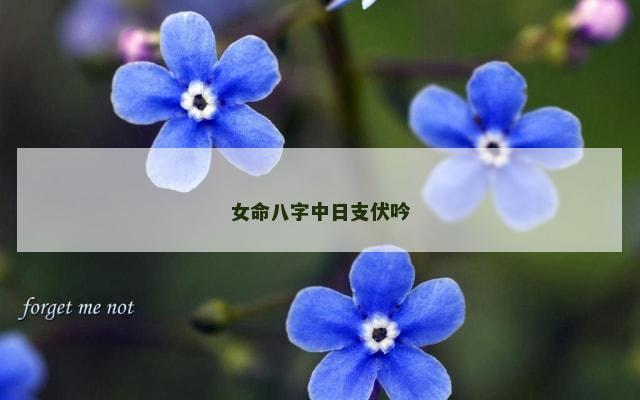 女命八字中日支伏吟