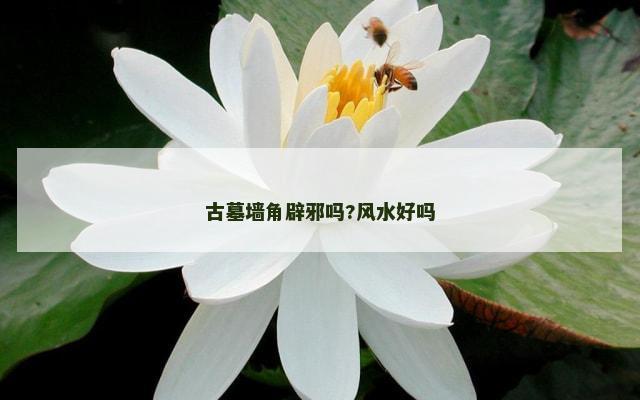 古墓墙角辟邪吗?风水好吗