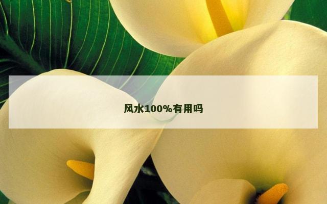 风水100%有用吗