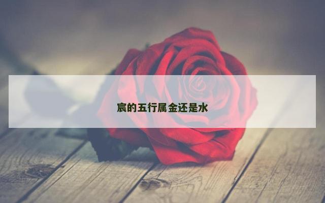 宸的五行属金还是水