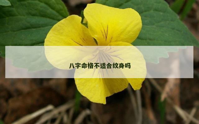 八字命格不适合纹身吗