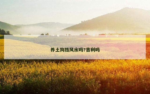 养土狗挡风水吗?吉利吗