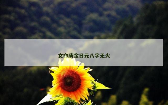 女命庚金日元八字无火