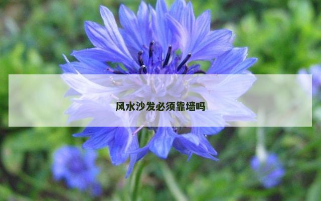 风水沙发必须靠墙吗