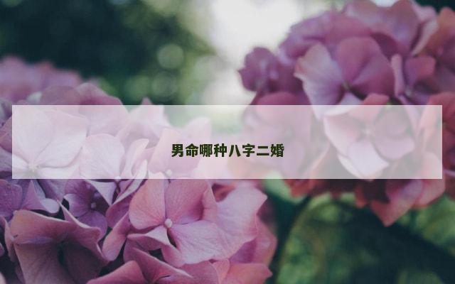 男命哪种八字二婚