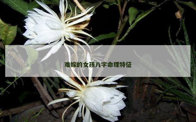 难嫁的女孩八字命理特征