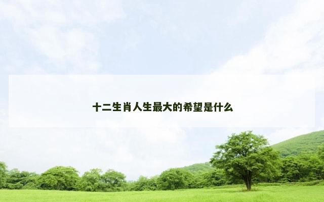 十二生肖人生最大的希望是什么