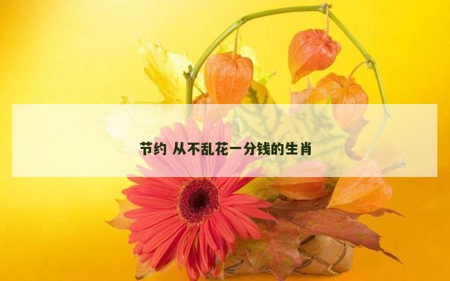 节约 从不乱花一分钱的生肖