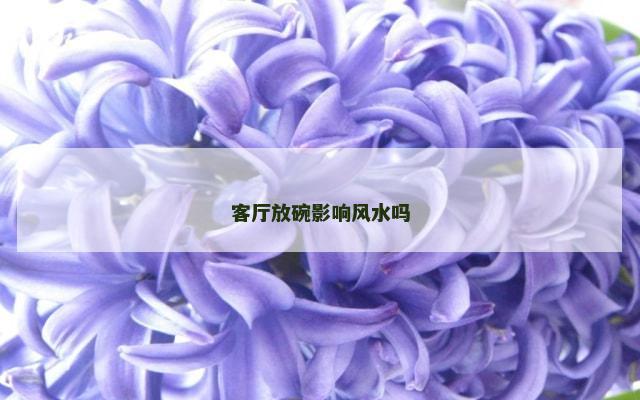 客厅放碗影响风水吗