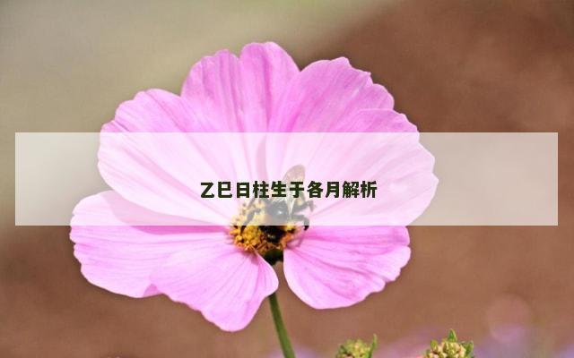 乙巳日柱生于各月解析
