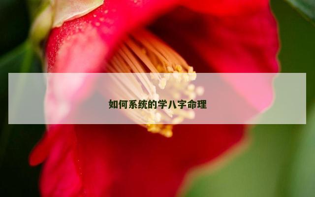 如何系统的学八字命理