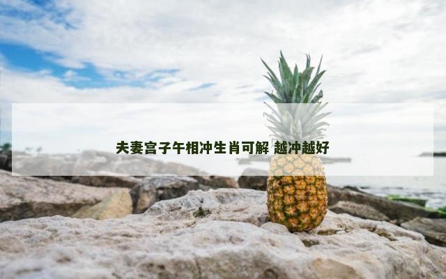 夫妻宫子午相冲生肖可解 越冲越好