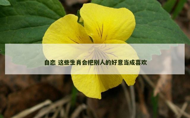自恋 这些生肖会把别人的好意当成喜欢