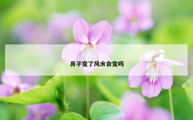 鼻子变了风水会变吗