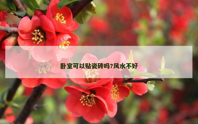 卧室可以贴瓷砖吗?风水不好