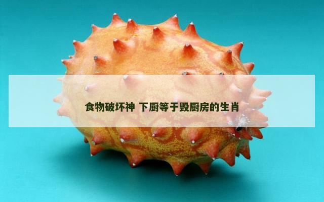 食物破坏神 下厨等于毁厨房的生肖