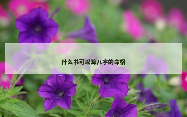 什么书可以算八字的命格