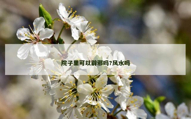 院子里可以辟邪吗?风水吗
