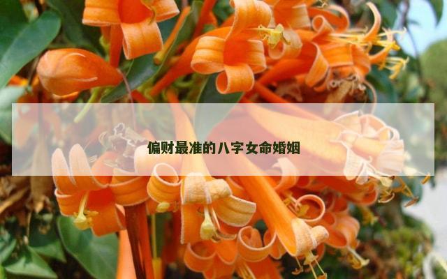 偏财最准的八字女命婚姻
