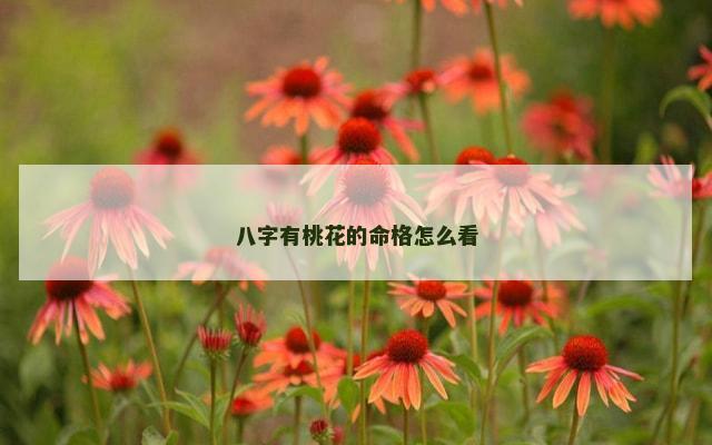 八字有桃花的命格怎么看