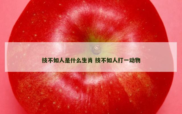 技不如人是什么生肖 技不如人打一动物
