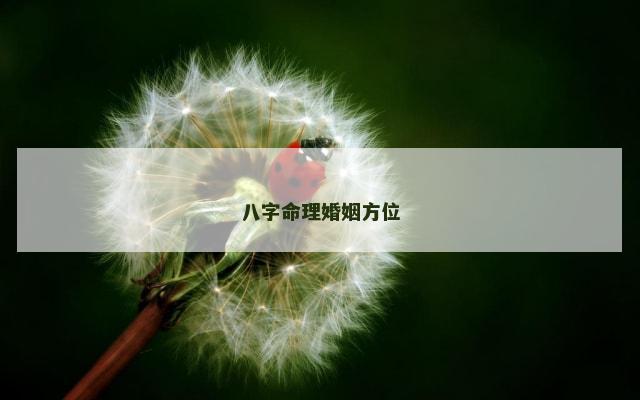 八字命理婚姻方位