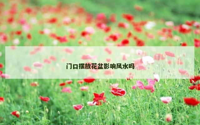 门口摆放花盆影响风水吗