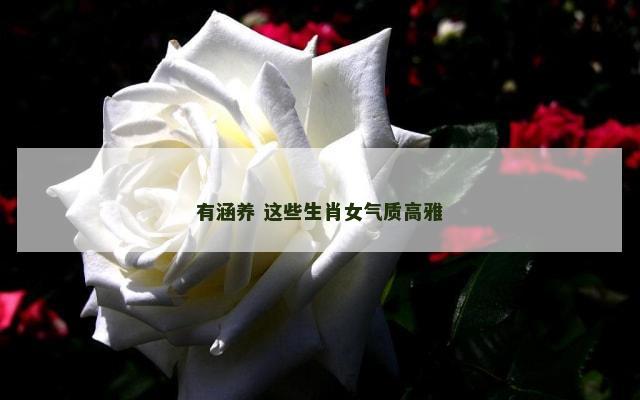 有涵养 这些生肖女气质高雅
