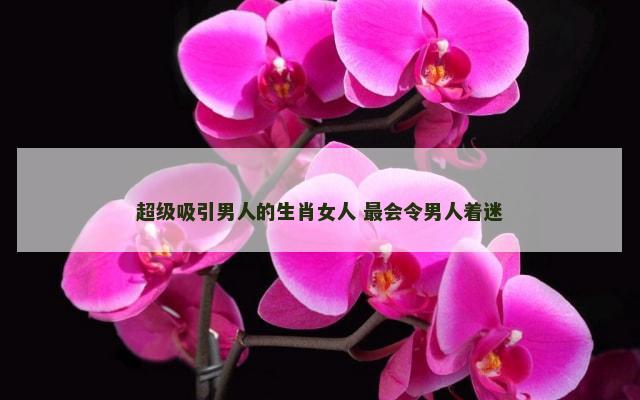 超级吸引男人的生肖女人 最会令男人着迷