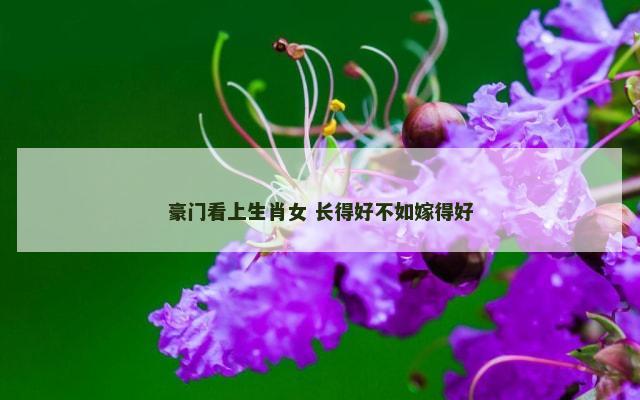 豪门看上生肖女 长得好不如嫁得好