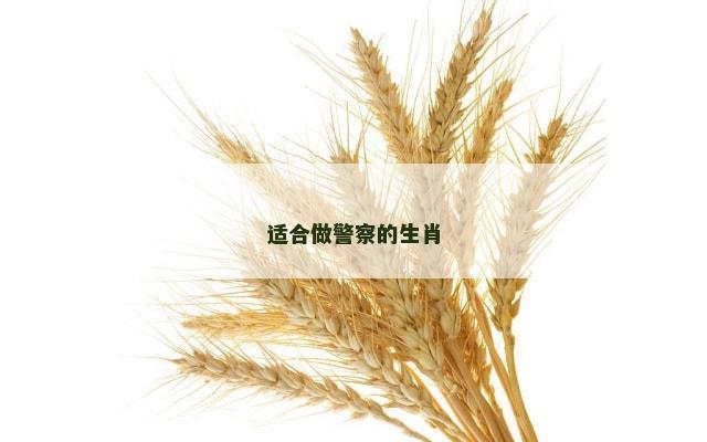 适合做警察的生肖